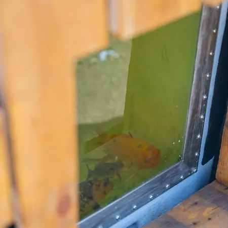 Solar Dos Reis By An Island Homestay *
