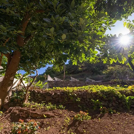 Solar Dos Reis By An Island Homestay Ribeira Brava