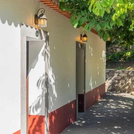 Solar Dos Reis By An Island *