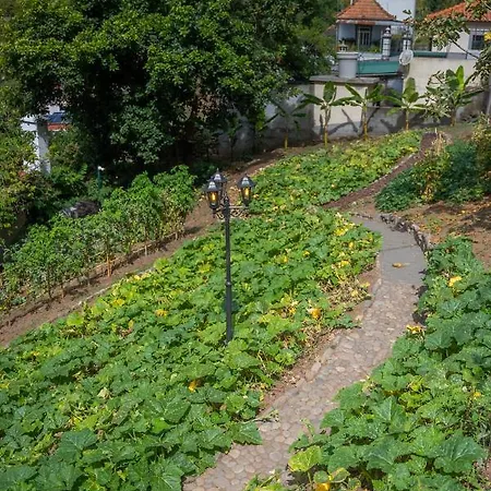 Homestay Solar Dos Reis By An Island