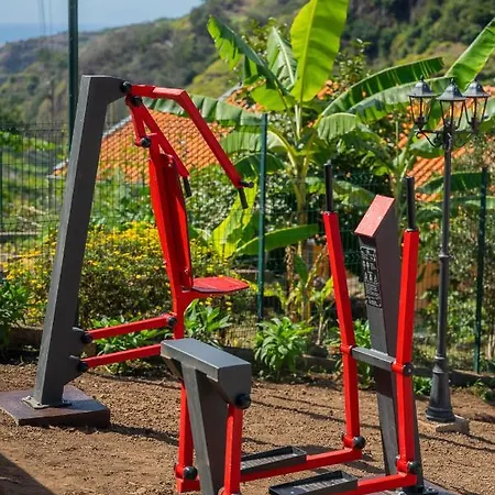 Solar Dos Reis By An Island *