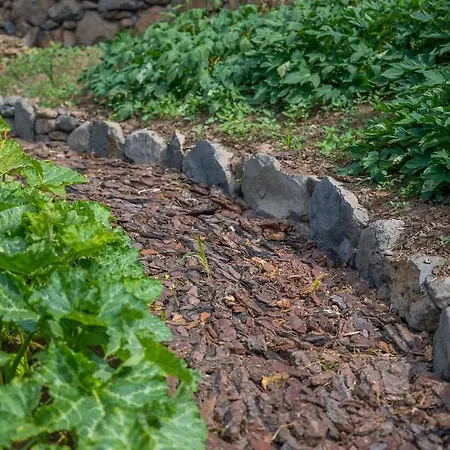 Homestay Solar Dos Reis By An Island