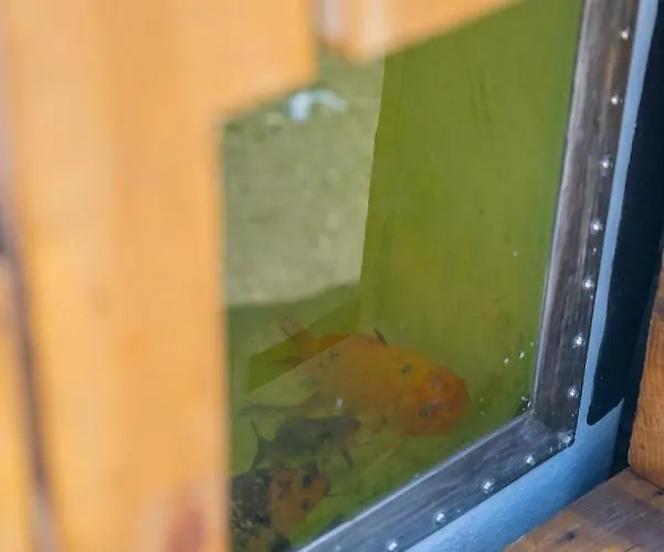 Solar Dos Reis By An Island Accommodatie bij particulieren *