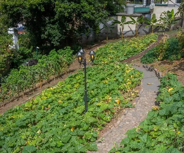 Kwatera prywatna Solar Dos Reis By An Island