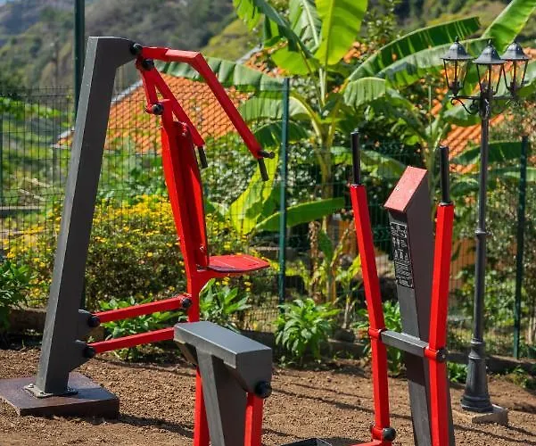 Solar Dos Reis By An Island *