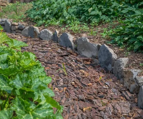 Kwatera prywatna Solar Dos Reis By An Island