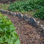 Alloggio in famiglia Solar Dos Reis By An Island