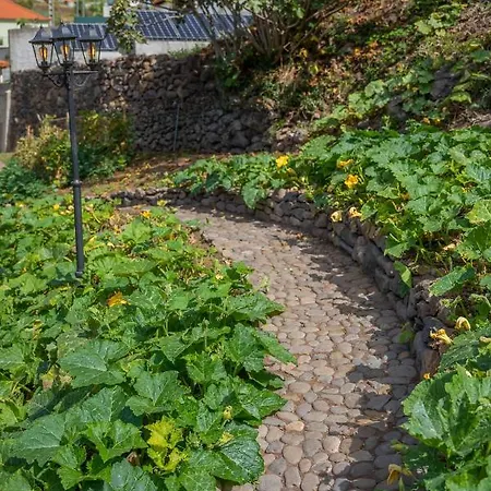 Solar Dos Reis By An Island * Ribeira Brava