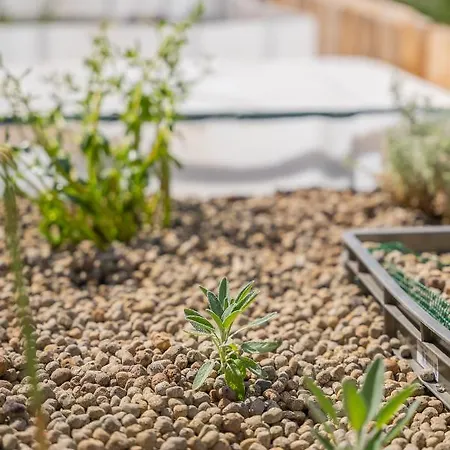 Alloggio in famiglia Solar Dos Reis By An Island Ribeira Brava