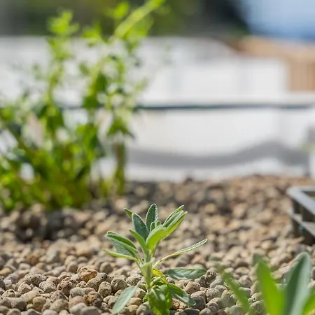 Solar Dos Reis By An Island * Ribeira Brava