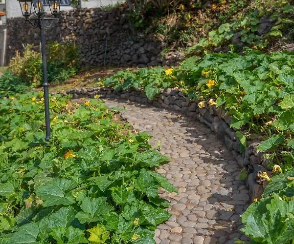 Solar Dos Reis By An Island * Ribeira Brava