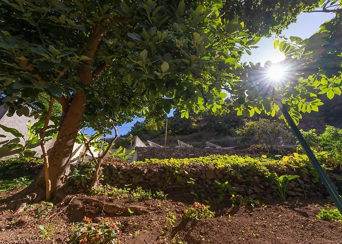 Solar Dos Reis By An Island Kwatera prywatna Ribeira Brava