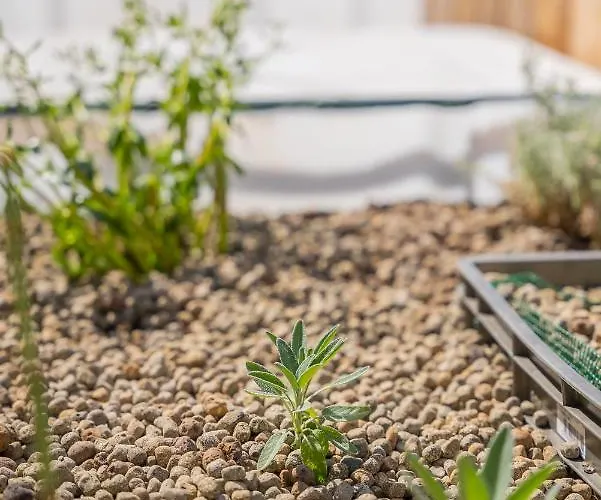 Kwatera prywatna Solar Dos Reis By An Island Ribeira Brava
